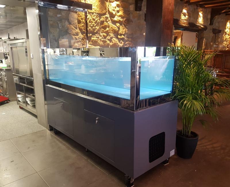 VIVERO MERCURY CON ENMARCACION EN ACERO - Acuarios y Viveros de marisco Tecnomar